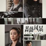 蔷薇风暴