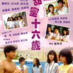 甜蜜十六岁（国语版）