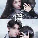 嘘国王在冬眠