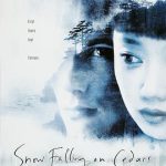 落在香杉树的雪花