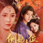 侧妃上位