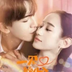 一见又倾心