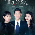 消失的爱人 2025