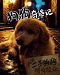 狗狗奇遇记