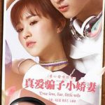 真爱骗子小娇妻