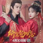 所念皆如愿