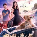 忠犬情缘