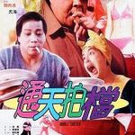 通天拍档