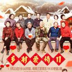 乡村爱情11