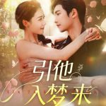 引他入梦来