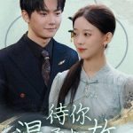 待你温柔如故