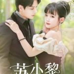 苏小黎的幸福生活