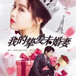 我的挚爱未婚妻