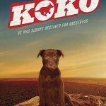 Koko红犬历险记