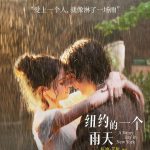 纽约的一个雨天