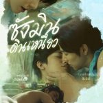 尚岷与丁尼奥