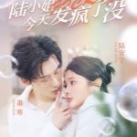 陆小姐今天发疯了没
