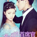 亲爱的首席官
