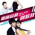 霸道总裁别惹我
