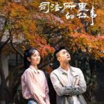 司法所里的故事