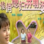 俊俏媳妇开明婆