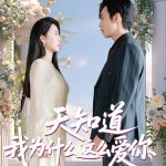 天知道我为什么这么爱你