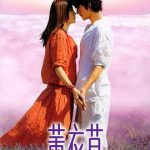 薰衣草国语
