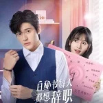 白秘书每天都想辞职
