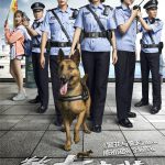 警犬来啦