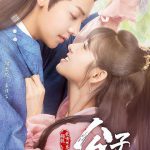 公子，我娶定你了2