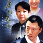 半路夫妻