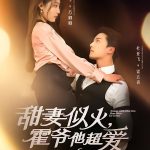 甜妻似火霍爷他超爱