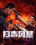 扫毒风暴