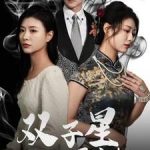 双子星黑白切