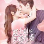夏小姐的先婚后爱