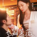 妄想蔷薇