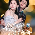 你是我的温柔陷阱