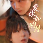 爱你如明月