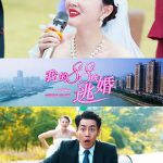 我的88次逃婚