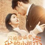 闪婚后偏宠我的小祖宗